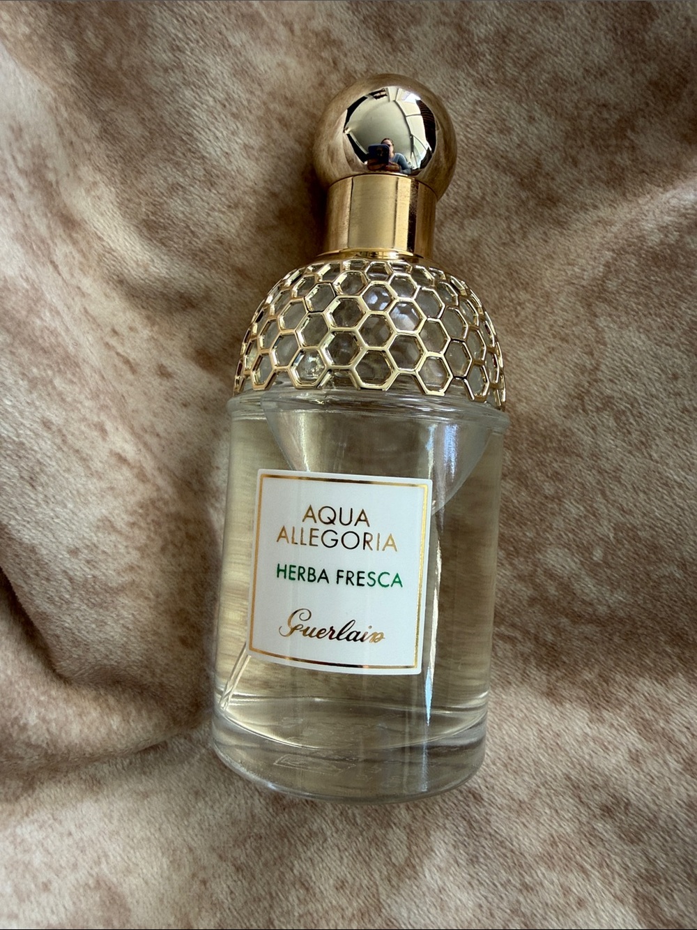 GUERLAIN Aqua Allegoria Herba Fresca — Gold & Green Accents